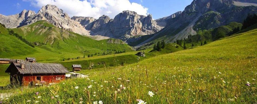 Alpencolor Hotel Tonale Пассо-дель-Тонале Экстерьер фото